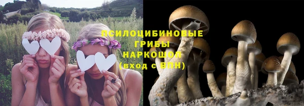 прущий лед Богородск