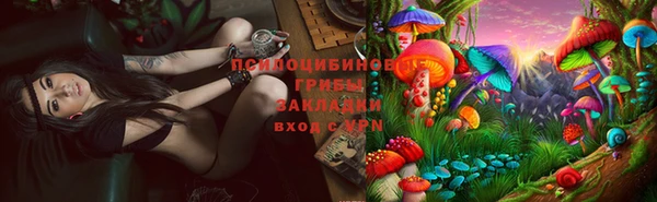 прущий лед Богородск