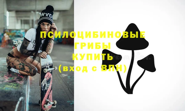 прущий лед Богородск