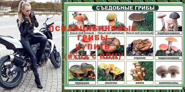 прущий лед Богородск