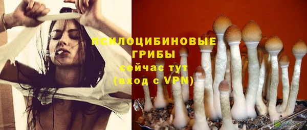 синтетический гашиш Богданович