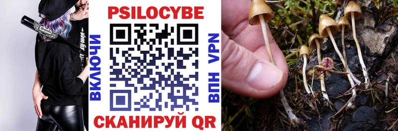 Псилоцибиновые грибы GOLDEN TEACHER  Купить  Льгов 